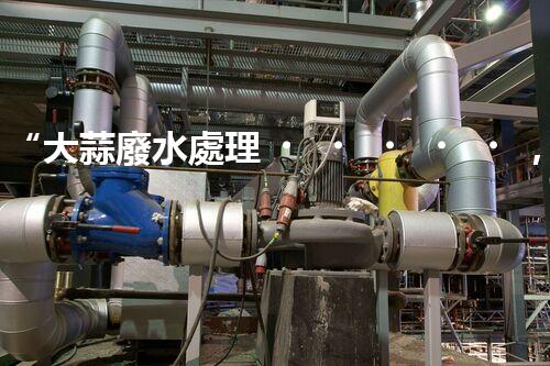 “大蒜廢水處理，綠色環(huán)保新篇章”
